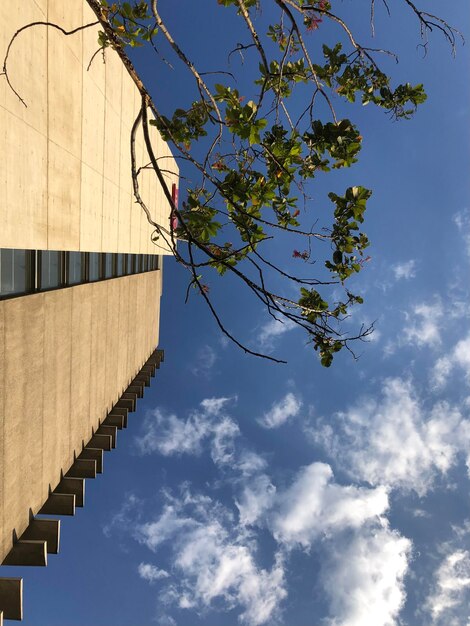 Built structure at centro de medellin