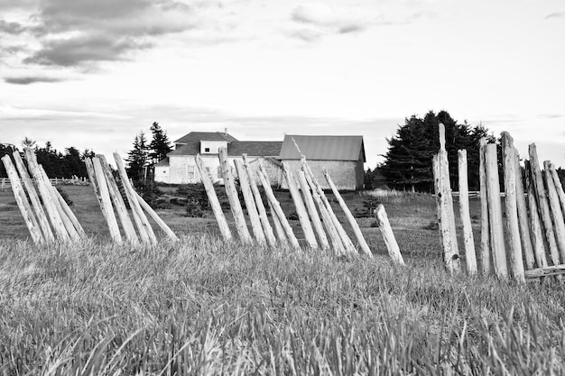 Foto struttura costruita sul campo contro il cielo