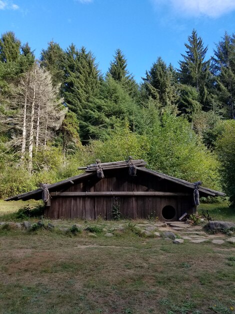 Foto struttura costruita sul campo contro gli alberi nella foresta