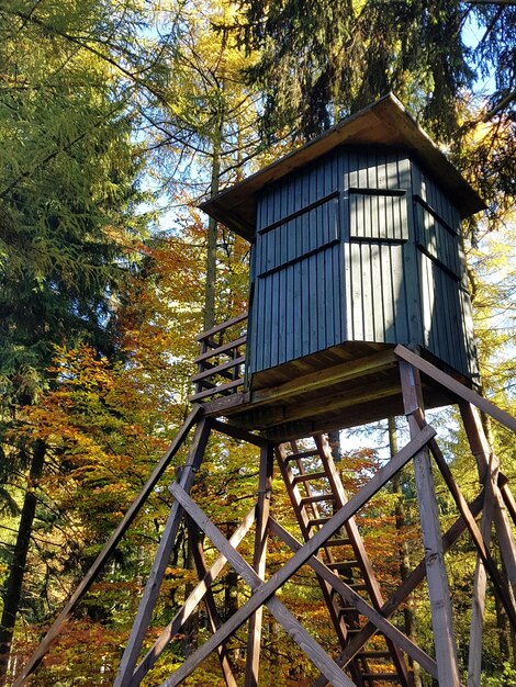 Foto struttura costruita in foresta