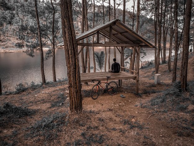 Built structure in forest