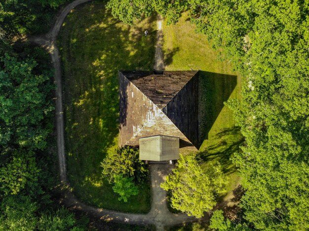 Photo built structure in forest