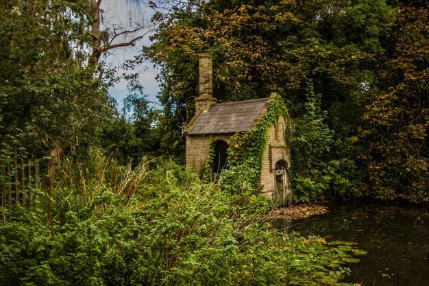 Photo built structure in forest