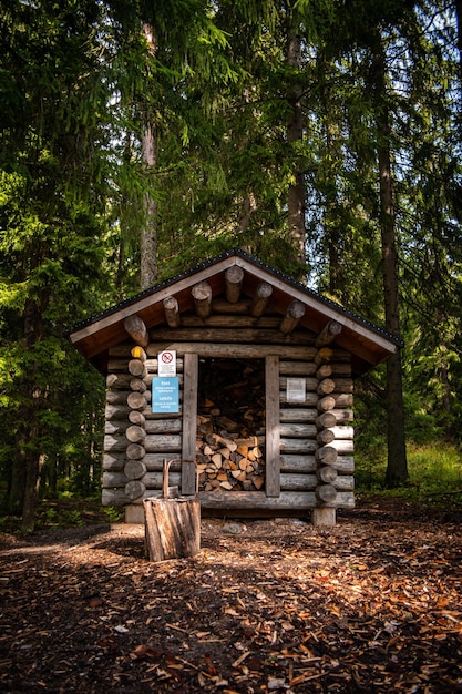 Foto struttura costruita in foresta