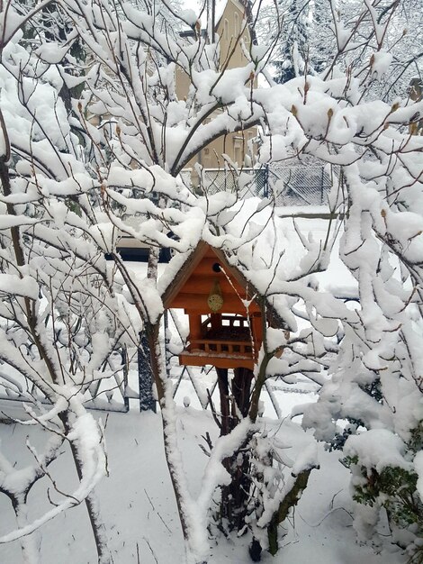 写真 空に向かって雪で覆われた家に建てられた構造物