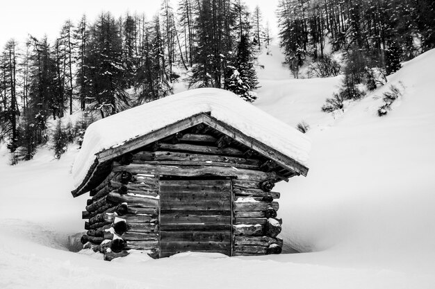 Foto struttura costruita su un campo coperto di neve contro gli alberi