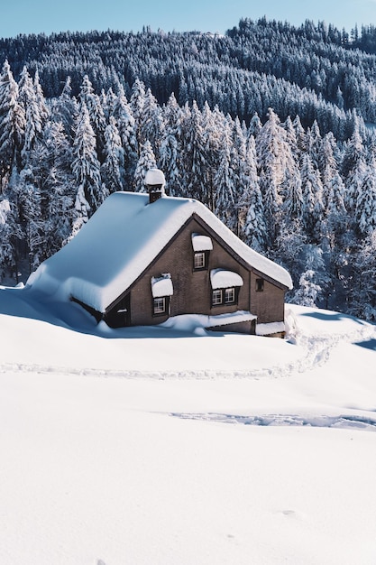 雪で覆われた土地と家に建てられた構造物