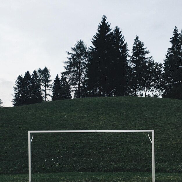 Photo built structure and trees on land against clear sky