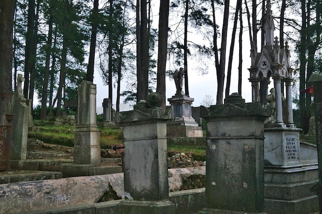 Photo built structure with trees in background