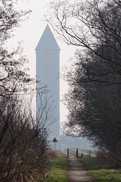 写真 背景に木がある建物