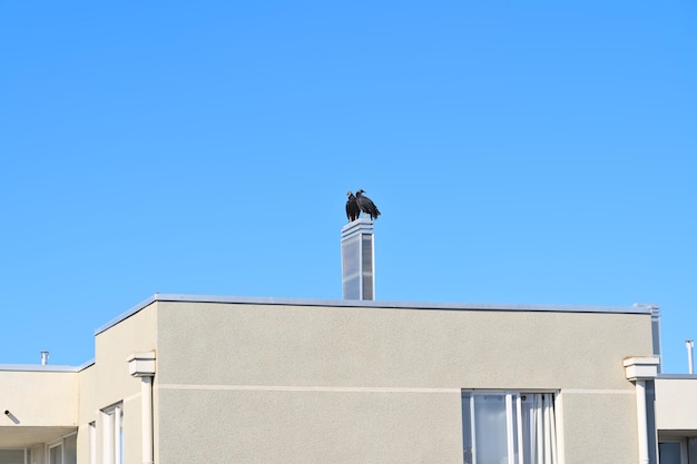 写真 建設された構造物