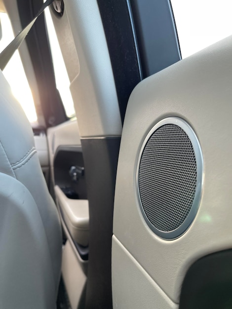 Altoparlante stereo incorporato nella portiera di un'automobile di lusso