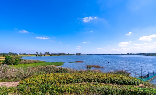 Buiten landelijk water Landelijk landschap