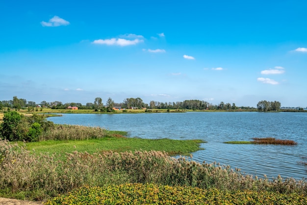 Buiten landelijk water Landelijk landschap