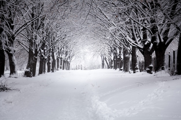 Buiten van mooie weg bij winterpark