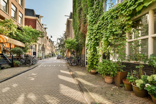 Buitenaanzicht van het gebouw