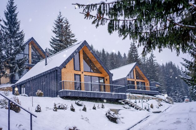 Foto buitenkant van dure hedendaagse huizen in het bos met naaldbomen bedekt met sneeuw