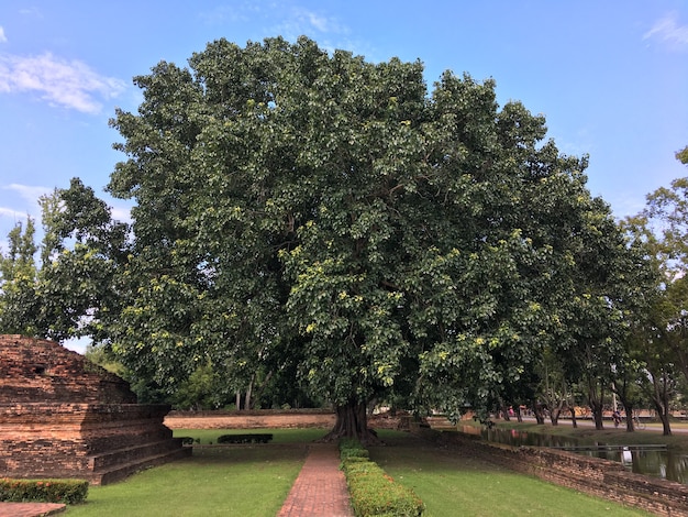 Foto buitenshuis