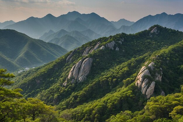 Photo bukhansan mountains covered in greenery