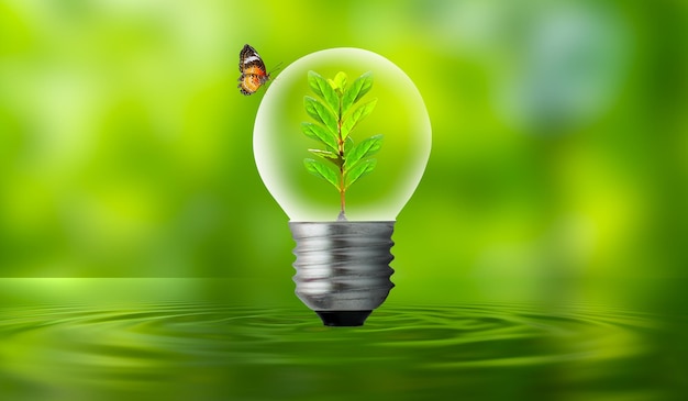 The bulb is located on the inside with leaves forest and the trees are in the light Concepts of environmental conservation and global warming plant growing inside lamp bulb over dry