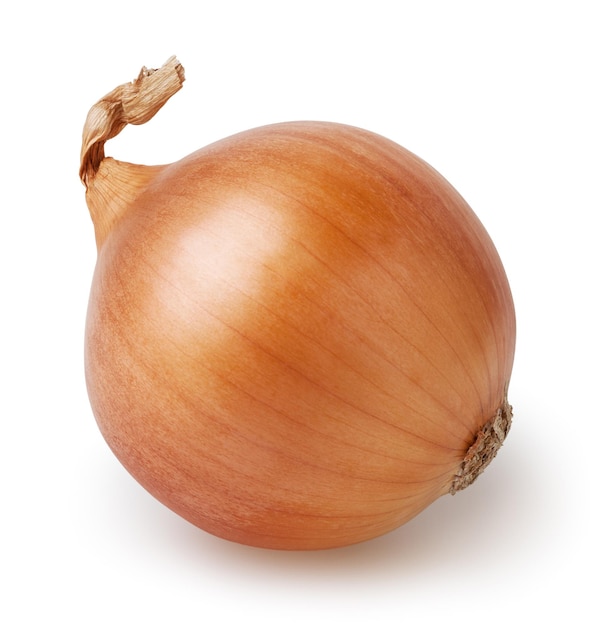 Bulb of onion isolated on white background with clipping path