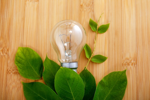 bulb with green leaf on wooden background