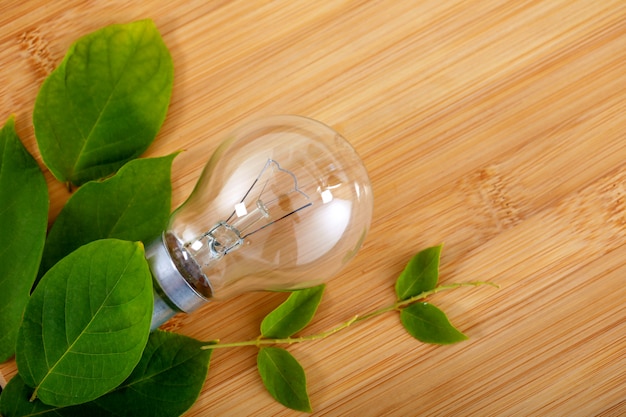 Foto lampadina con foglia verde su fondo in legno