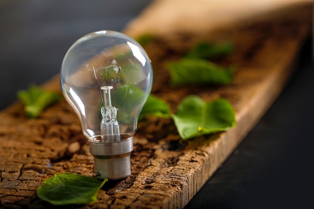 Lampadina con foglia verde sul tavolo di legno