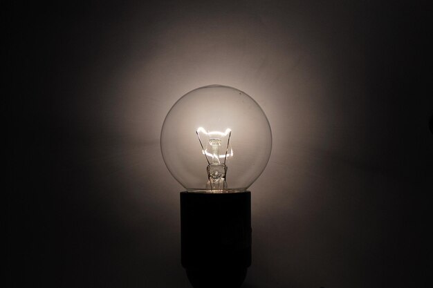 Photo bulb