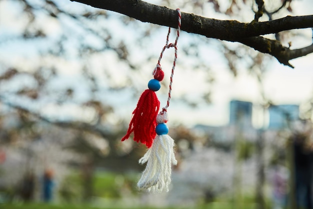 Bulgaars traditioneel de lentedecor martenitsa op de bloesemboom baba marta vakantie