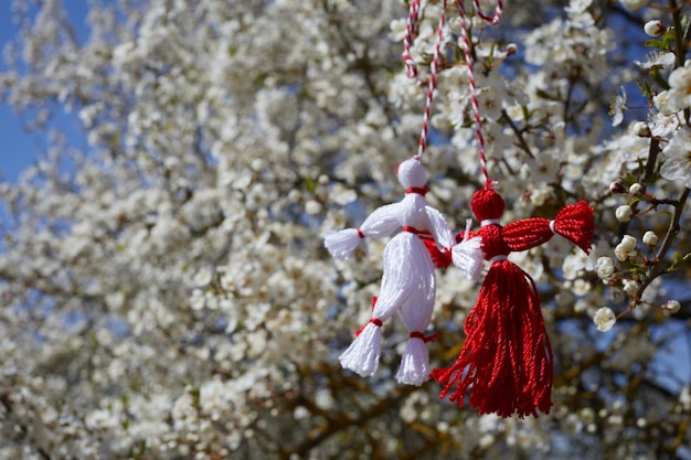 Bulgarian traditional spring decor martenitsa on the blossom tree baba marta holiday