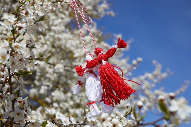 Bulgarian traditional spring decor martenitsa on the blossom tree baba marta holiday