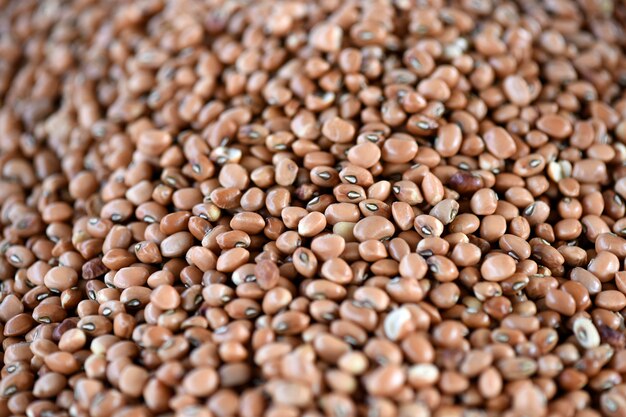 Bulk beans close up at outdoor market stall