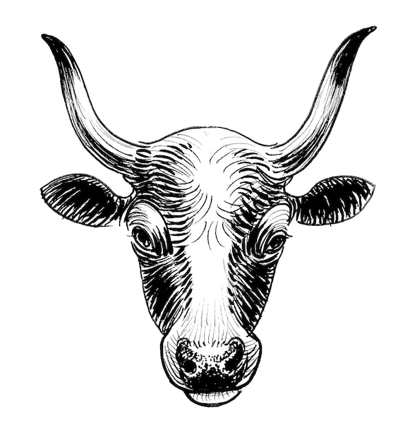 bull head ink black and white drawing
