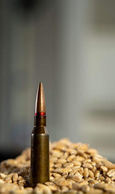 Photo bullet in a handful of grains in a blurry background war for food grain deal world crisis