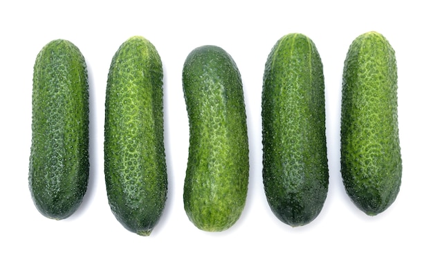 Bumpy pickling cucumbers arranged in a row isolated