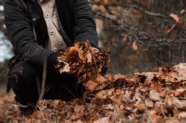 A bunch of autumn, yellow foliage on the ground, cleaning the leaves. Work in the garden.