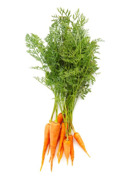 Bunch of baby carrots isolated on white background Top view