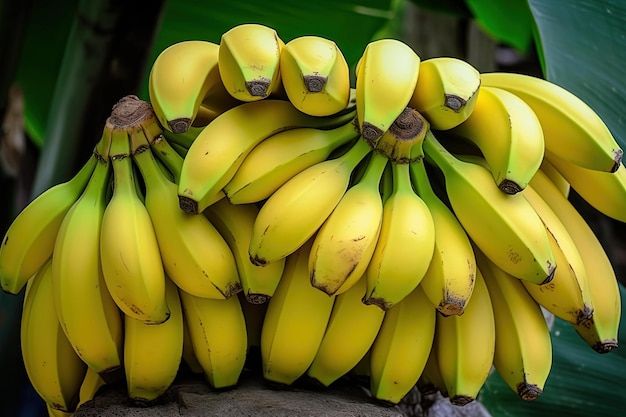 A bunch of bananas are on a table.