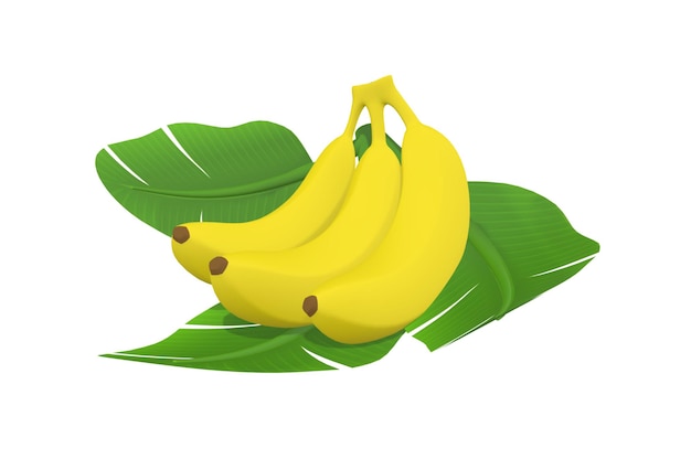 A bunch of bananas on a green leaf