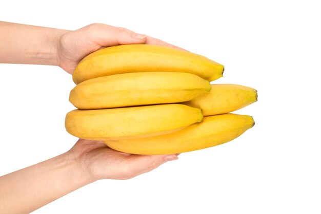 A bunch of bananas in woman hand isolated on a white background