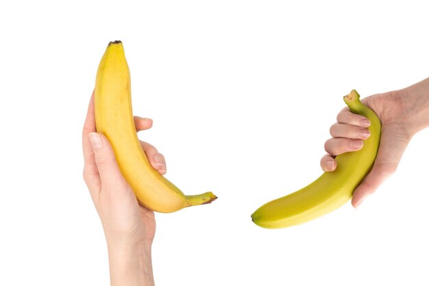 A bunch of bananas in woman hand isolated on a white background