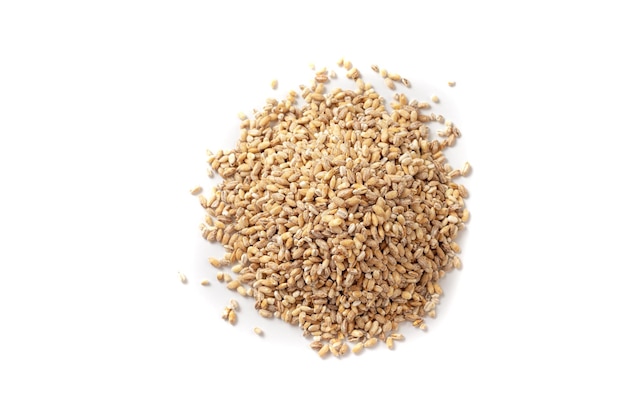 A bunch of barley on a white background isolate healthy ancient grain food