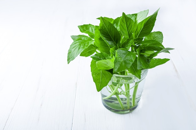 Bunch of basil in a glass jar