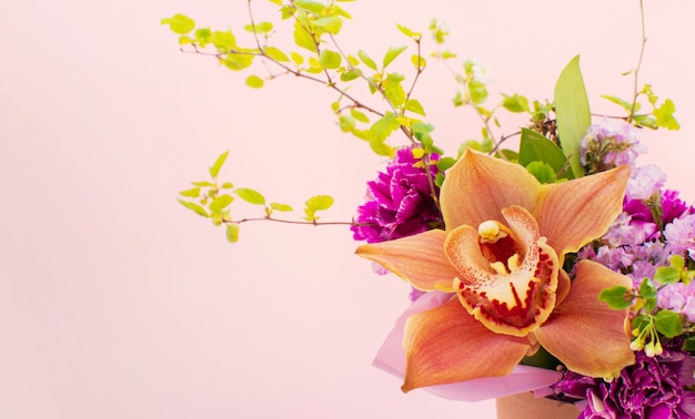 Bunch of beautiful flowers, orchid isolated on light pink background