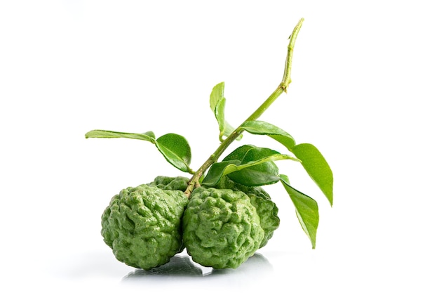 Bunch of bergamot fruit and leaf isolate on white background