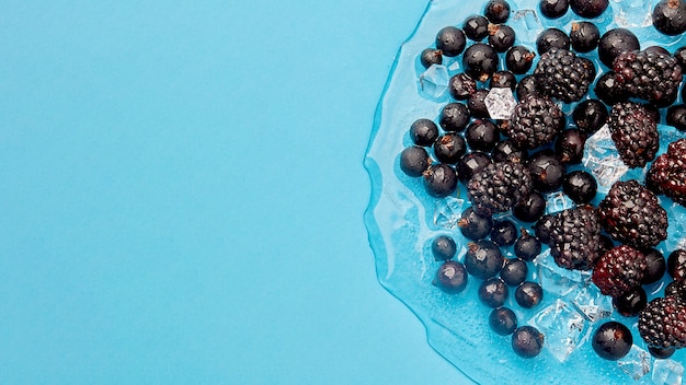 A bunch of berries in shards of ice. still life with the image\
of black currants and blackberries, on an ice plate. a mix of\
berries with a lot of vitamins. top view with a place to copy