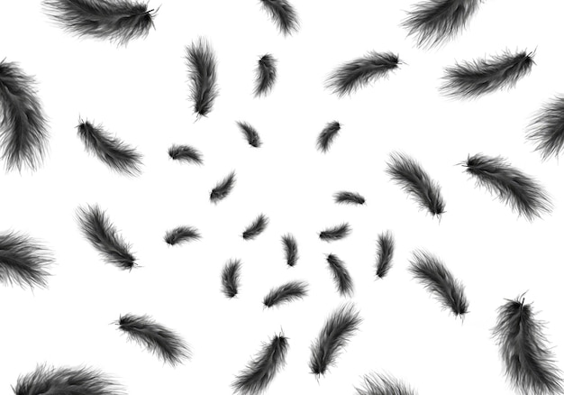 Photo a bunch of black feathers that are all over the place