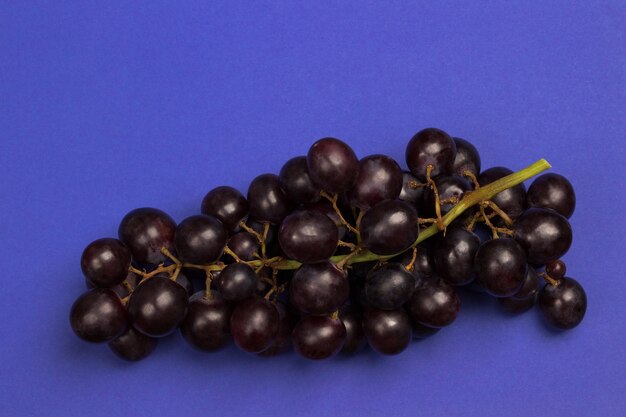 Bunch of black grapes on blue background. Flat lay. Copy space