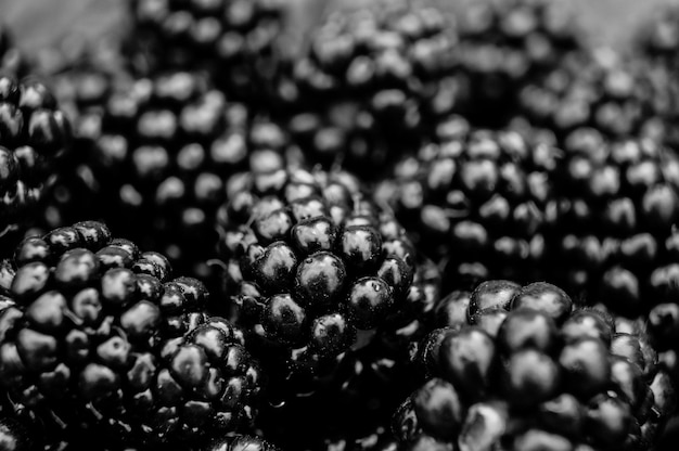 A bunch of blackberries on a background of leaves close up